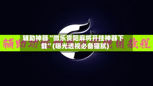 辅助神器“微乐贵阳麻将开挂神器下载”(曝光透视必备猫腻)-第3张图片