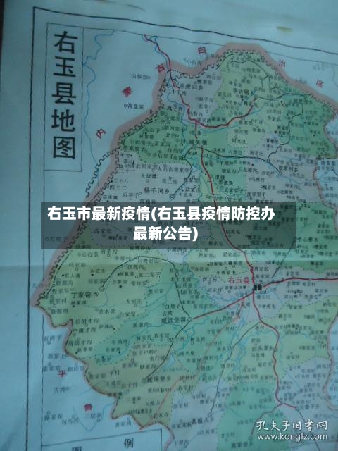 右玉市最新疫情(右玉县疫情防控办最新公告)-第3张图片