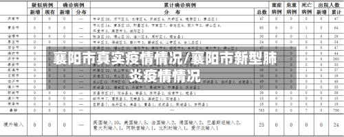 襄阳市真实疫情情况/襄阳市新型肺炎疫情情况-第2张图片