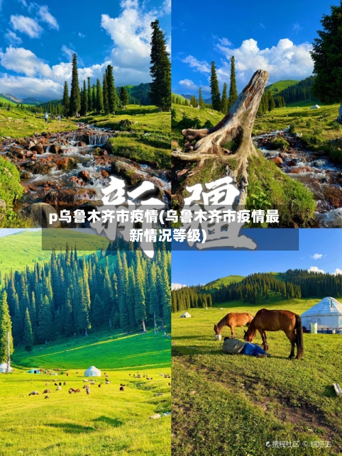 p乌鲁木齐市疫情(乌鲁木齐市疫情最新情况等级)-第1张图片