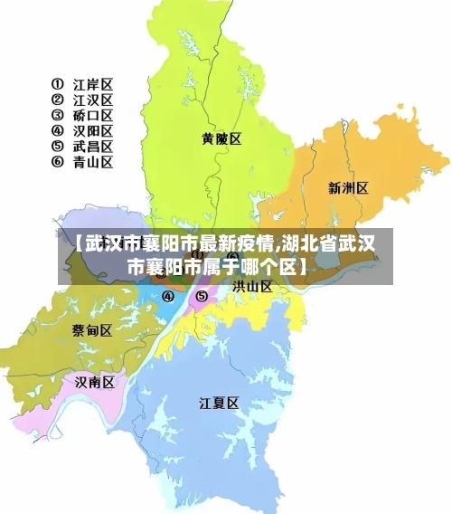 【武汉市襄阳市最新疫情,湖北省武汉市襄阳市属于哪个区】-第3张图片