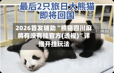 2026首发辅助“熊猫四川麻将有没有挂官方(透视)”详细开挂玩法-第2张图片