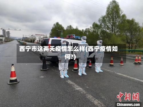 西宁市这两天疫情怎么样(西宁疫情如何?)-第3张图片
