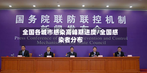 全国各城市感染高峰期进度/全国感染者分布-第2张图片