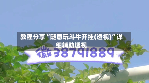 教程分享“随意玩斗牛开挂(透视)”详细辅助透视-第2张图片