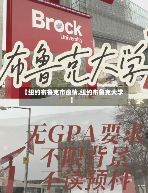 【纽约布鲁克市疫情,纽约布鲁克大学】-第1张图片