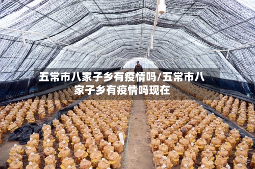 五常市八家子乡有疫情吗/五常市八家子乡有疫情吗现在-第1张图片