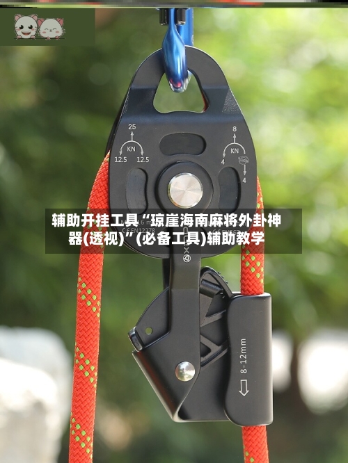 辅助开挂工具“琼崖海南麻将外卦神器(透视)	”(必备工具)辅助教学-第3张图片