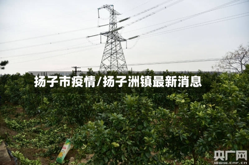 扬子市疫情/扬子洲镇最新消息-第1张图片