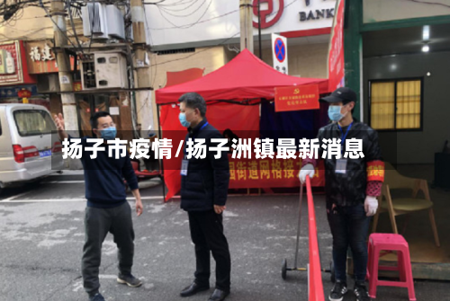 扬子市疫情/扬子洲镇最新消息-第2张图片