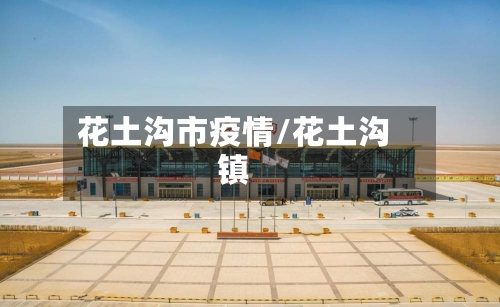 花土沟市疫情/花土沟镇-第3张图片