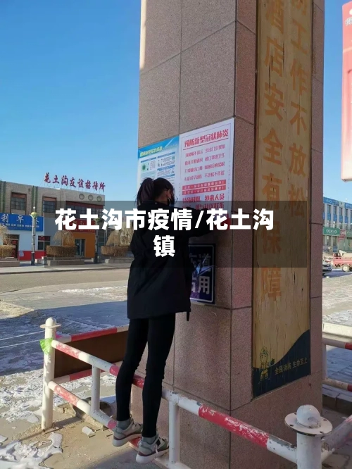 花土沟市疫情/花土沟镇-第2张图片