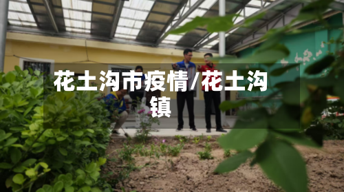 花土沟市疫情/花土沟镇-第1张图片