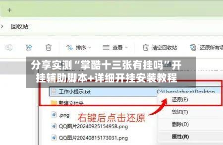 分享实测“掌酷十三张有挂吗”开挂辅助脚本+详细开挂安装教程-第1张图片
