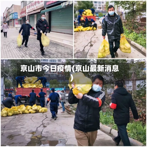 京山市今日疫情(京山最新消息)-第1张图片