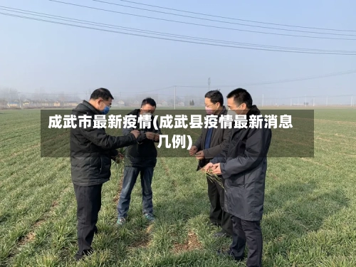 成武市最新疫情(成武县疫情最新消息几例)-第1张图片