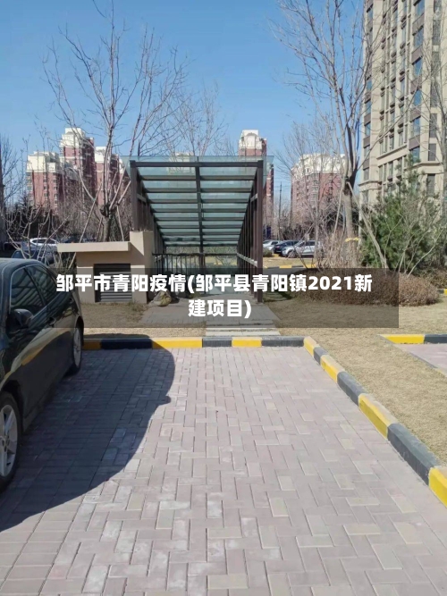邹平市青阳疫情(邹平县青阳镇2021新建项目)-第2张图片