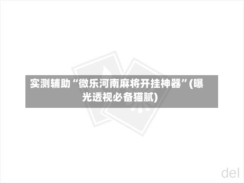 实测辅助“微乐河南麻将开挂神器”(曝光透视必备猫腻)-第2张图片