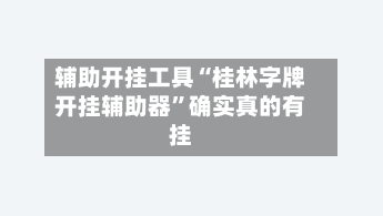 辅助开挂工具“桂林字牌开挂辅助器”确实真的有挂-第1张图片