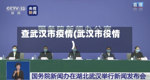 查武汉市疫情(武汉市役情)-第1张图片