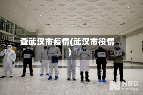 查武汉市疫情(武汉市役情)-第2张图片