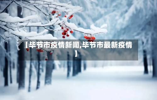 【毕节市疫情新闻,毕节市最新疫情】-第2张图片