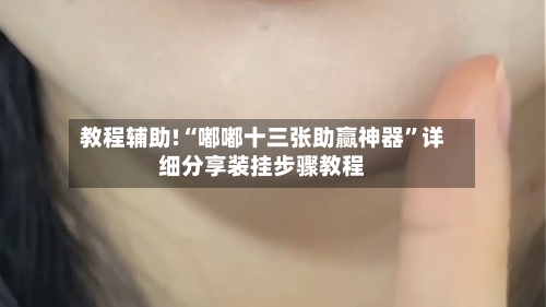 教程辅助!“嘟嘟十三张助赢神器	”详细分享装挂步骤教程-第2张图片