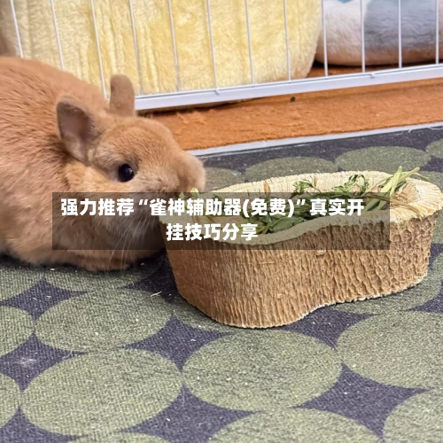强力推荐“雀神辅助器(免费)”真实开挂技巧分享-第2张图片