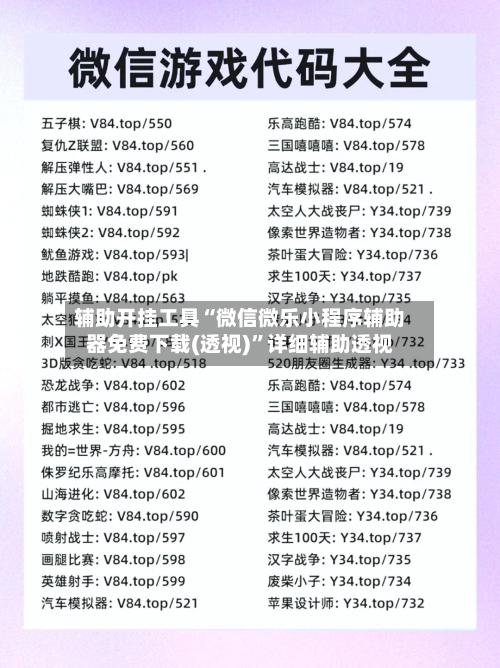 辅助开挂工具“微信微乐小程序辅助器免费下载(透视)”详细辅助透视-第2张图片
