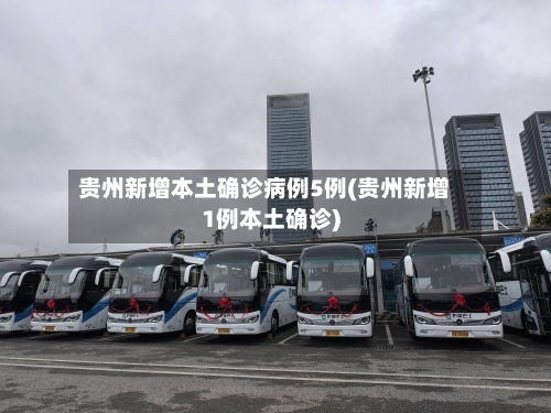 贵州新增本土确诊病例5例(贵州新增1例本土确诊)-第1张图片