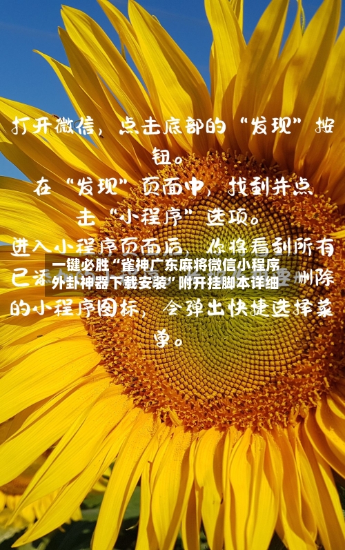 一键必胜“雀神广东麻将微信小程序外卦神器下载安装”附开挂脚本详细-第2张图片