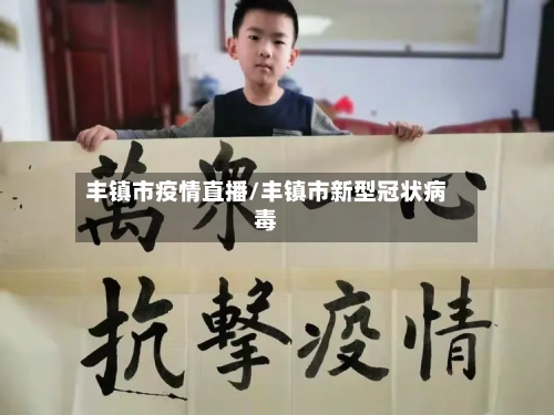 丰镇市疫情直播/丰镇市新型冠状病毒-第1张图片