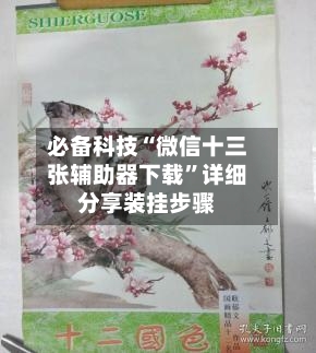 必备科技“微信十三张辅助器下载	”详细分享装挂步骤-第1张图片