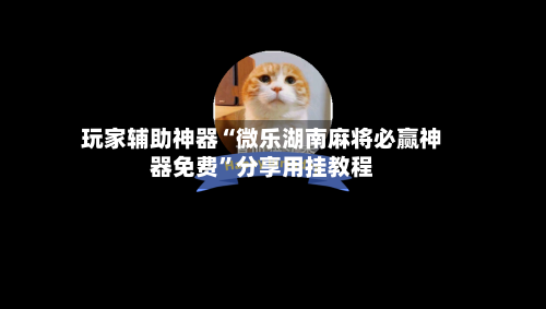 玩家辅助神器“微乐湖南麻将必赢神器免费”分享用挂教程-第2张图片