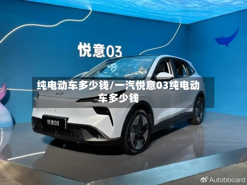 纯电动车多少钱/一汽悦意03纯电动车多少钱-第1张图片