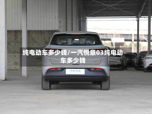 纯电动车多少钱/一汽悦意03纯电动车多少钱-第2张图片