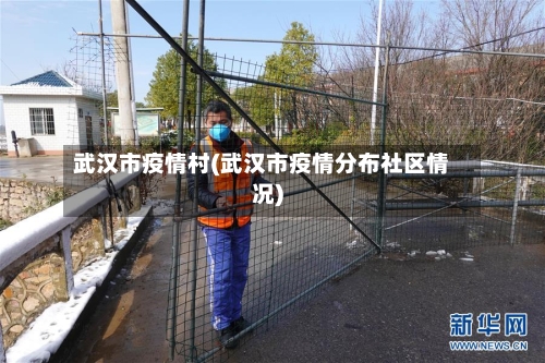 武汉市疫情村(武汉市疫情分布社区情况)-第3张图片