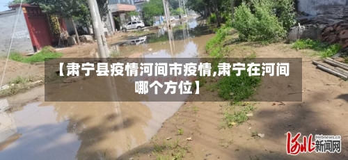 【肃宁县疫情河间市疫情,肃宁在河间哪个方位】-第3张图片