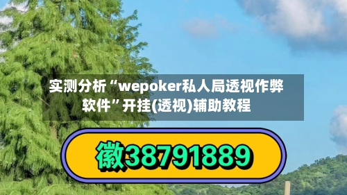 实测分析“wepoker私人局透视作弊软件”开挂(透视)辅助教程-第2张图片