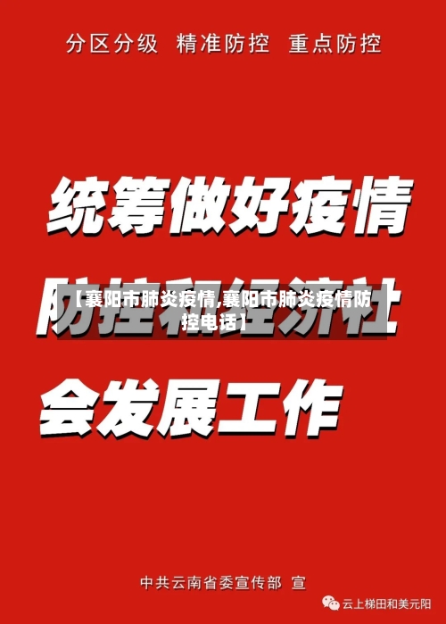 【襄阳市肺炎疫情,襄阳市肺炎疫情防控电话】-第2张图片