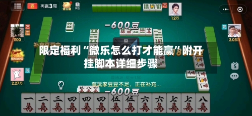 限定福利“微乐怎么打才能赢”附开挂脚本详细步骤-第1张图片