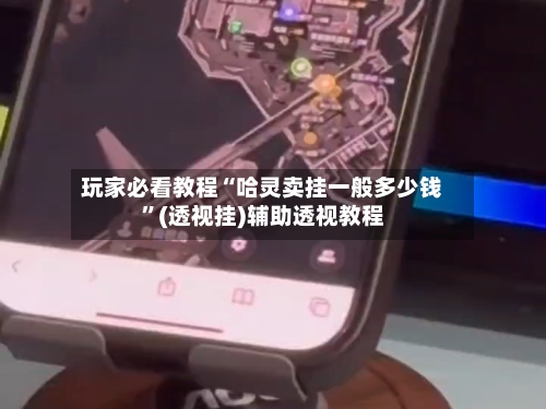 玩家必看教程“哈灵卖挂一般多少钱”(透视挂)辅助透视教程-第1张图片