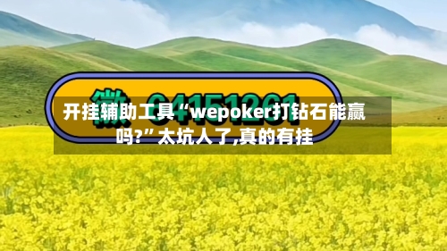 开挂辅助工具“wepoker打钻石能赢吗?”太坑人了,真的有挂-第3张图片