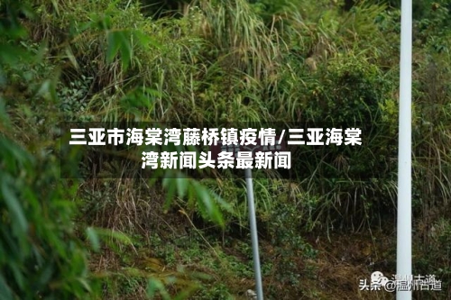 三亚市海棠湾藤桥镇疫情/三亚海棠湾新闻头条最新闻-第2张图片