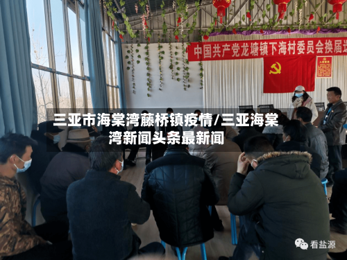 三亚市海棠湾藤桥镇疫情/三亚海棠湾新闻头条最新闻-第3张图片
