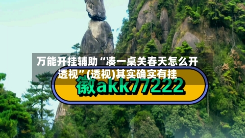 万能开挂辅助“凑一桌关春天怎么开透视”(透视)其实确实有挂-第2张图片