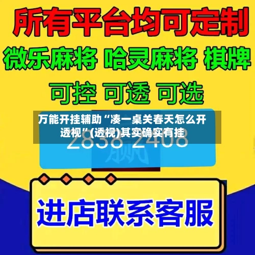 万能开挂辅助“凑一桌关春天怎么开透视”(透视)其实确实有挂-第3张图片