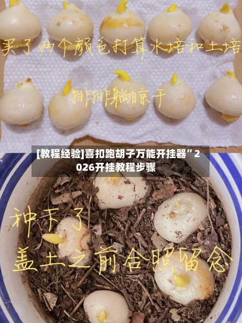 [教程经验]喜扣跑胡子万能开挂器	”2026开挂教程步骤-第1张图片