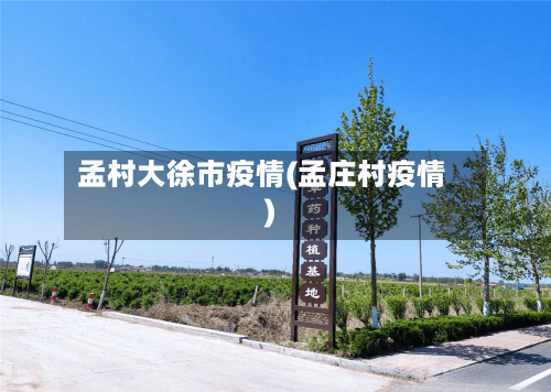 孟村大徐市疫情(孟庄村疫情)-第1张图片