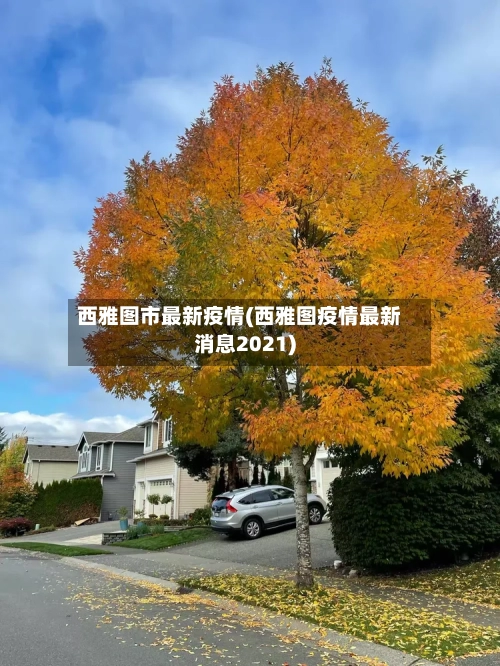 西雅图市最新疫情(西雅图疫情最新消息2021)-第1张图片